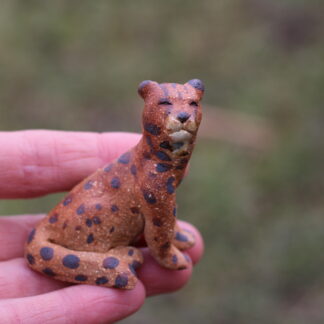 Gepard