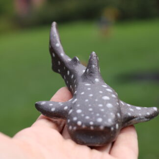 Žralok velrybí černý s porcelánem čajový