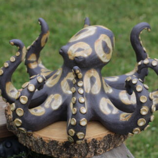 Chobotnice