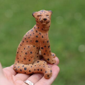 Gepard sedící