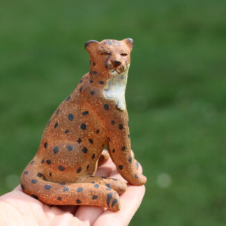 Gepard sedící